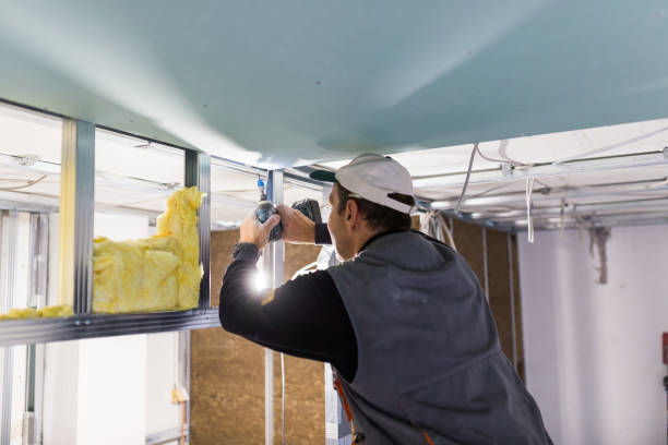 Best Residential Insulation in East Patchogue, NY