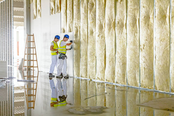 Best Eco-Friendly Insulation in East Patchogue, NY